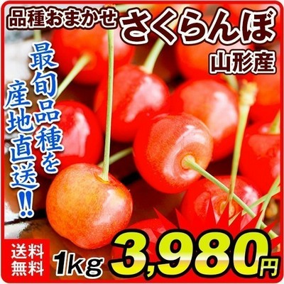 さくらんぼ 1kg 山形産 品種おまかせ さくらんぼ 送料無料 佐藤錦 香夏錦 紅さやかなど 食品 通販 Lineポイント最大get Lineショッピング