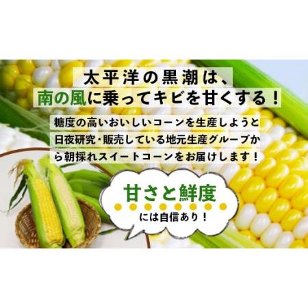 ふるさと納税 朝採れスイートコーン 3kg (8〜10本) 野菜 とうもろこし とうきび トウキビ BBQ キャンプ 旬 おやつ 特産品 sg-0005 高知県香南市