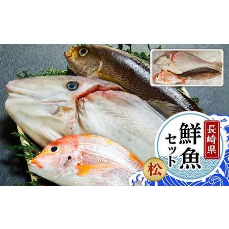 ふるさと納税 年内発送　長崎鮮魚セット（松） 長崎県