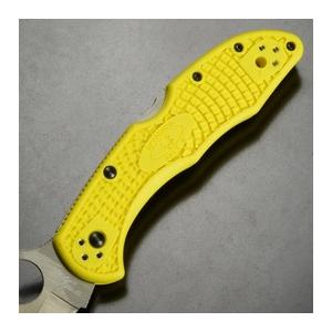 Spyderco 折りたたみナイフ ソルト2 海人 H-2 直刃