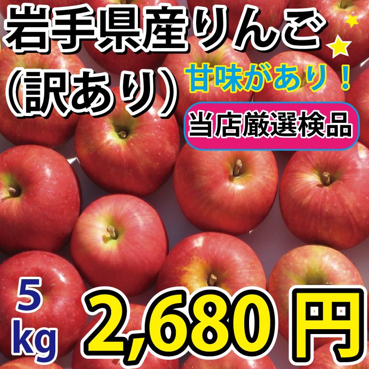 りんご 訳あり 5kg