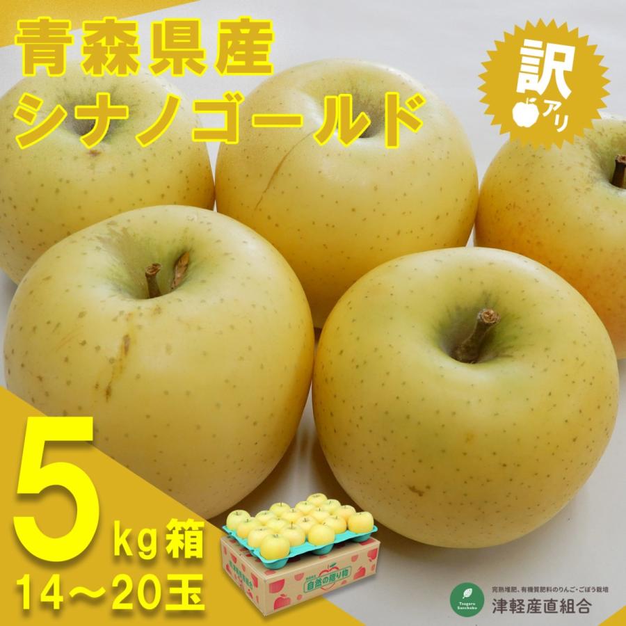 令和6年1月中旬頃発送訳あり 産地直送♪シナノゴールド 5キロ箱 14〜20玉 内容量 約4.8キロ 津軽産直組合直送 津軽りんご 青森県産 B品