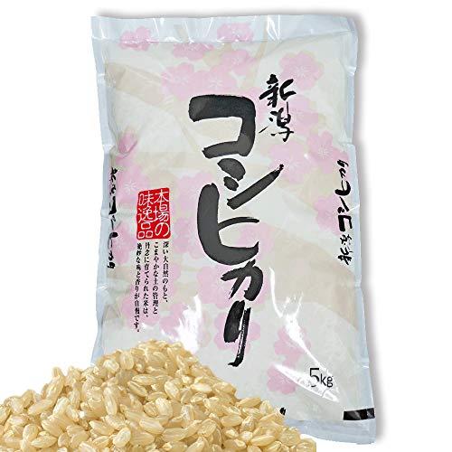 新米  令和5年産 新潟県産 コシヒカリ 玄米 5kg 新潟産 コシヒカリ 新潟コシヒカリ お米 玄米 産地直送米 低温倉庫管