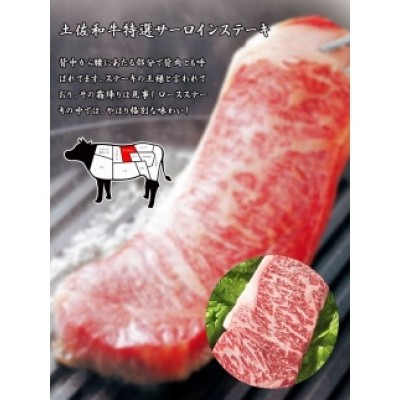 肉 牛 塊肉土佐 和牛 A5 特選 サーロイン ブロック 約1kg〈高知市共通返礼品〉お歳暮 御歳暮