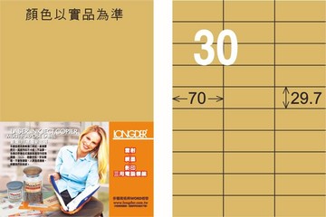 【龍德】LD-834-C-C A4雷射、噴墨、影印用電腦標籤 29.7x70mm