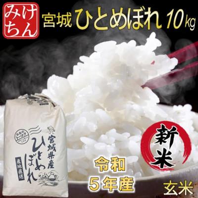 ふるさと納税 村田町 令和5年産　宮城県産ひとめぼれ 玄米10kg