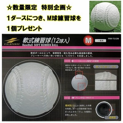 独創的 軟式m球2ダース 早割クーポン Shapirolegal Com