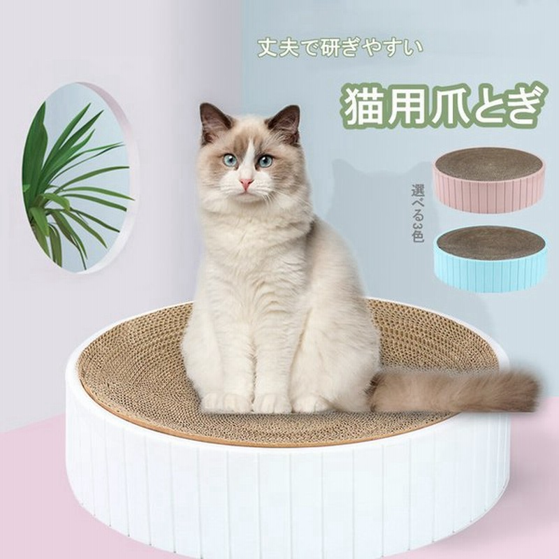 18％OFF リッチェル NEWコロル 猫のツメみがき 詰替用 2P