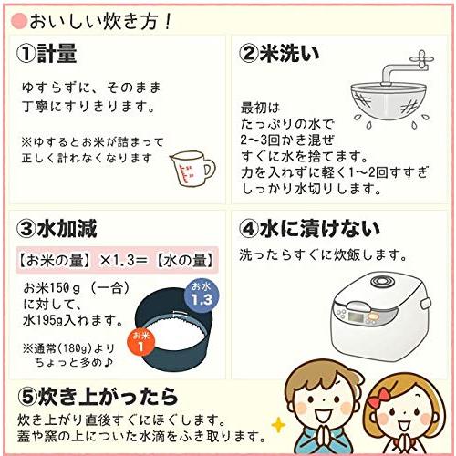 新潟県産 いのちの壱 白米 5kg 令和5年産