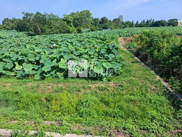 觀音正新華路農地｜桃園市觀音區光明段