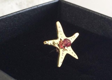 海星寶貝 ☆ 紅榴石石榴石黃銅別針