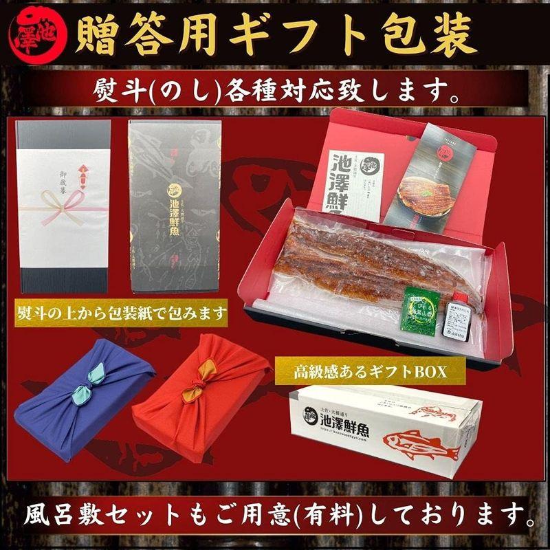 池澤鮮魚 国産 うなぎ 超特大 蒲焼き 250g以上×2尾 誕生日 ギフト (贈答用ギフト包装)