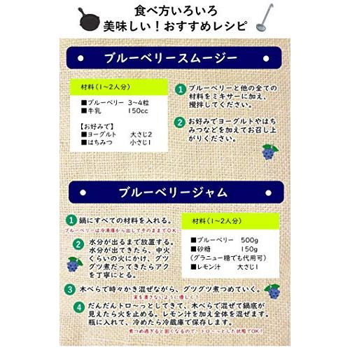 ルクール 冷凍ブルーベリー 1kg 山形産 完熟 ブルーベリー 冷凍 フルーツ お菓子作り 様々なレシピで大活躍