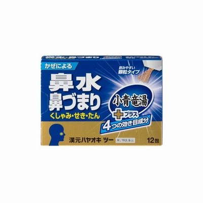 漢元ハヤオキ ツー 12包 薬王製薬 【第2類医薬品】 | LINE