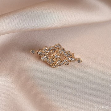 滿鑽防走光胸針 高級感 輕奢小衆別針 氣質西裝大衣配飾胸花精緻