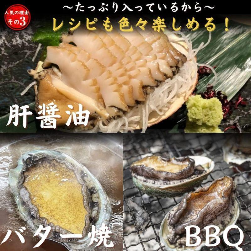 お刺身 蝦夷あわび アワビ 1kｇ（約30個入）あわび 海鮮 BBQ