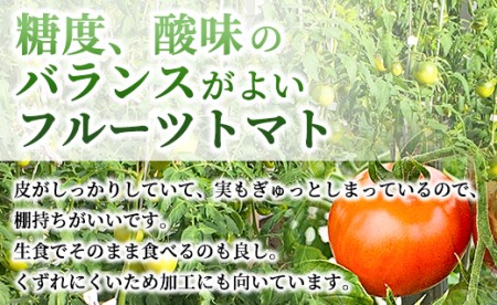 夜須町産フルーツトマト 2kg箱入り トマト フルーツトマト 野菜 贈り物 箱入り ga-0005