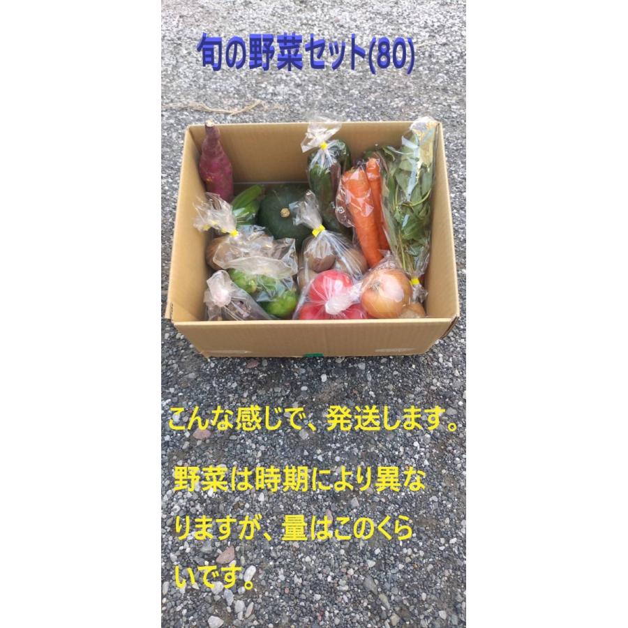 旬の野菜セット80（8〜10種）