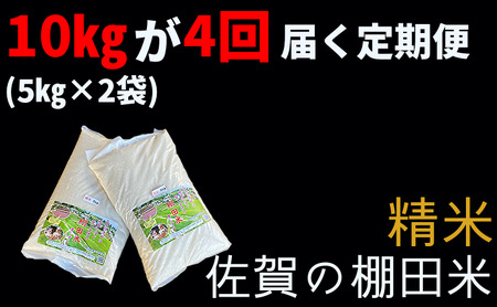 ｐ－５ 棚田米 新米（ 令和５年産 ） 定期便 精米 白米 夢しずく 10kg×4回 