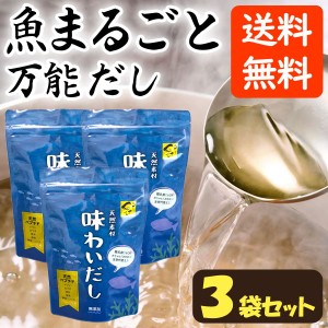 味わいだし 天然素材 無添加 栄養スープ（500g）