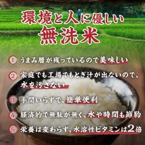 ふるさと納税  金芽米特別栽培米農林48号2kg×２ 山梨県北杜市