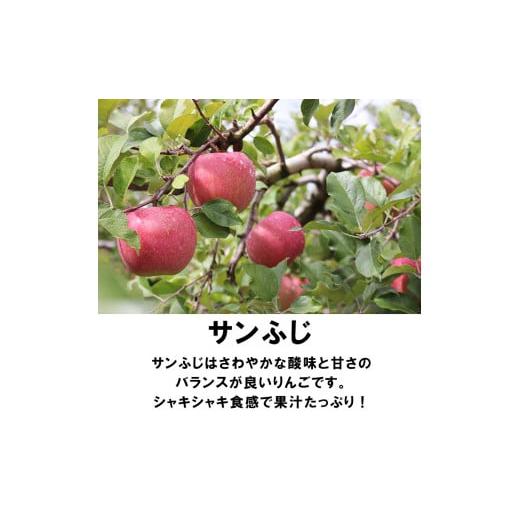 ふるさと納税 秋田県 鹿角市 《先行予約》秋田県鹿角産りんご「サンふじ」3kg（7〜10玉）●2023年12月上旬発送開始　りんご 林檎 リンゴ サ…