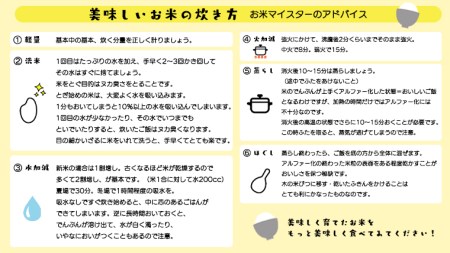 茨城県筑西市産 コシヒカリ15kg 米 コメ コシヒカリ こしひかり 茨城県 単一米 精米  [CH017ci]