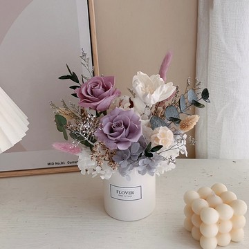 夢境紫永生盆花