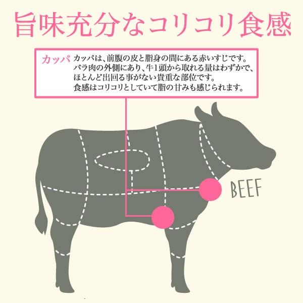 黒毛和牛A4等級以上焼肉用カッパ＜500g＞ 牛肉 ビーフ 焼肉 バーベキュー BBQ