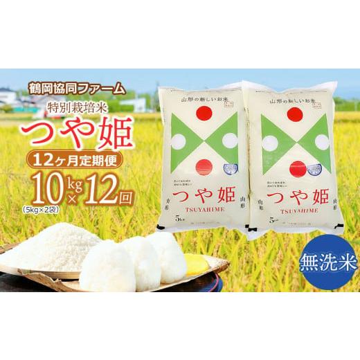 ふるさと納税 山形県 鶴岡市 特別栽培米つや姫 無洗米 10kg (5kg×2袋)×12ヶ月　鶴岡協同ファーム