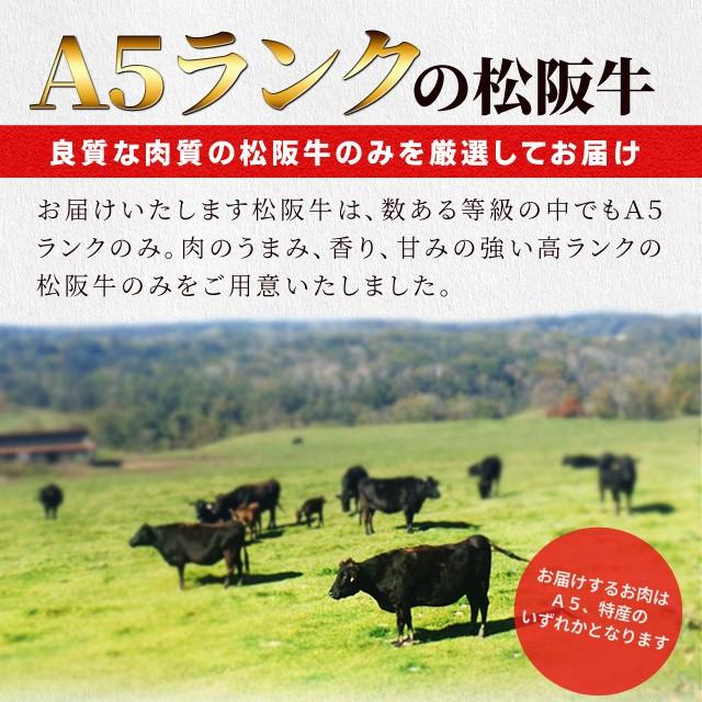 松阪牛 サーロイン ステーキ ２００ｇ×２枚 Ａ５ランク厳選 牛肉 和牛 松阪肉 お歳暮 ギフト