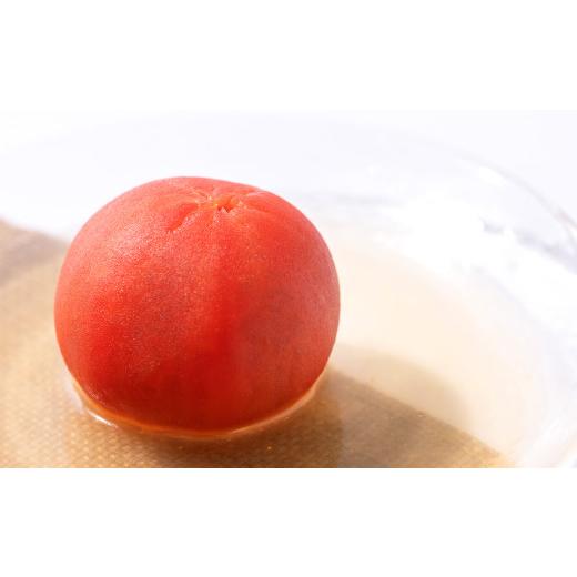 ふるさと納税 熊本県 八代市    八代市産 規格外トマト 4.5kg 熊本県 トマト 野菜