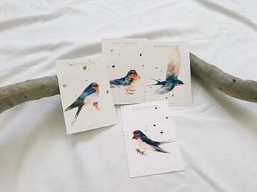 鳥兒明信片組 W 家燕