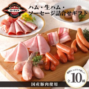 お歳暮 ハム 生ハム  ソーセージ  10種 詰合せ ギフト 御歳暮 クリスマス 送料無料 食品 肉 お肉 ローマイヤ  ギフト スターゼン 国産豚