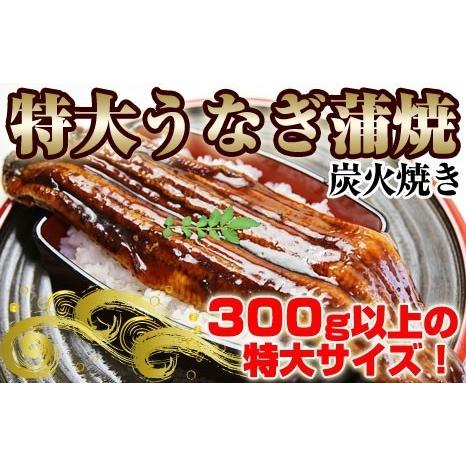 うなぎ蒲焼　300g 15尾入り　5kg　中国産　ギフト