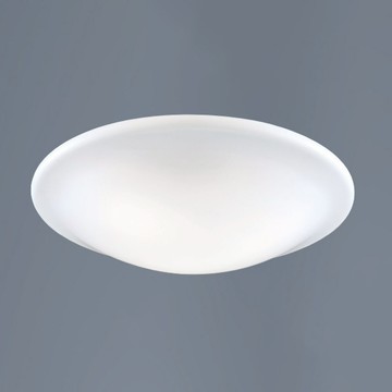 E27 壓克力吸頂三燈四燈 B250-53-12-3011 3012