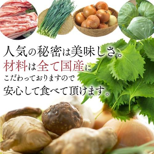 餃子 取り寄せ 業務用 冷凍 生餃子 国産素材 ニンニク不使用 時短 お手軽 簡単 大容量 餃子計画 鍋 水餃子 生姜餃子 50個袋入