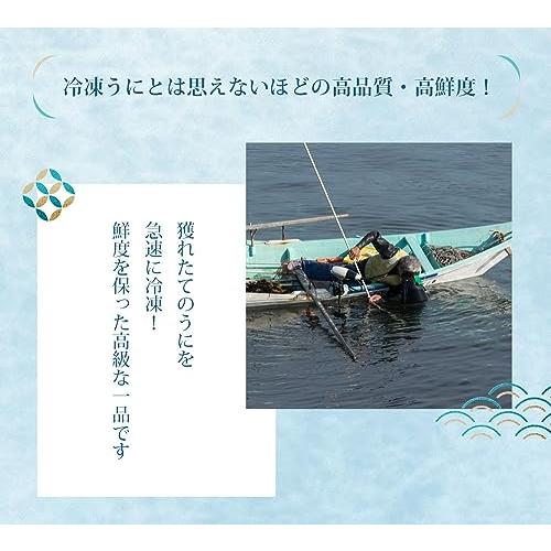 お歳暮北海道産 冷凍生ウニ 70g うに ウニ 生うに 北海道 ミョウバン不使用 贈り物 丼 うに北海道産 うに丼 ギフ