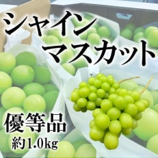 山梨県山梨市産　旬の採れたてシャインマスカット　優等品　約1kg　2～3房