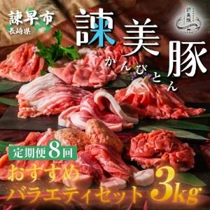 ふるさと納税 『定期便』_諫美豚(かんびとん)おすすめバラエティセット3kg_全8回 長崎県諫早市