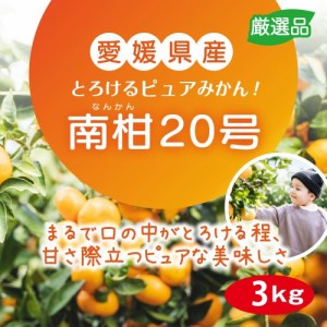 みかん 南柑20号 3kg 愛媛県産 数量限定 温州みかん 甘い 温州 みかん ミカン 温州ミカン オレンジ 柑橘 除草剤不使用 減農薬 ギフト 産