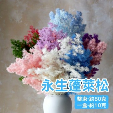 [🌼手作材料🌲 ]永生蓬萊松 永生花 蓬萊松 壽松 浮游花材 手作花材 整束 約80g 一盒 約10g 大份量 不雕花