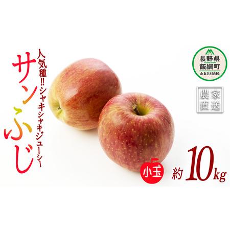 ふるさと納税 りんご サンふじ 小玉 10kg 丸茂ファーム 2024年1月下旬頃から2024年4月上旬頃まで順次発送予定 エコファーマー認定 信州の環境に.. 長野県飯綱町