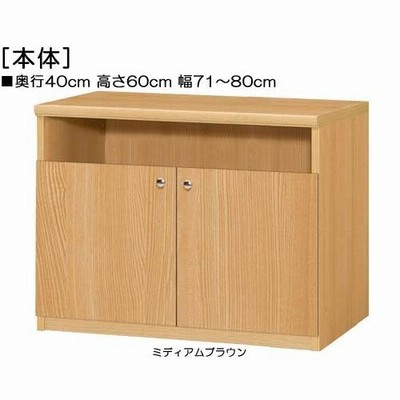 下部扉 扉付AVラック 高さ６０ｃｍ幅７１〜８０ｃｍ奥行４０ｃｍ厚棚板（棚板厚み2.5cm） 下扉高さ41.5cm 雑誌本棚 待合室