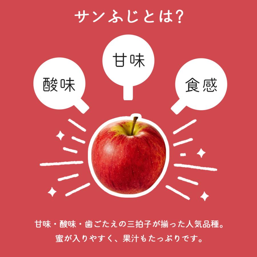 りんご 産地直送 岩手県産 ふじ 3kg 9-11玉入り サンふじ 秀品 贈答 ギフト 農家直送 林檎 リンゴ 果物 無袋栽培 樹上完熟