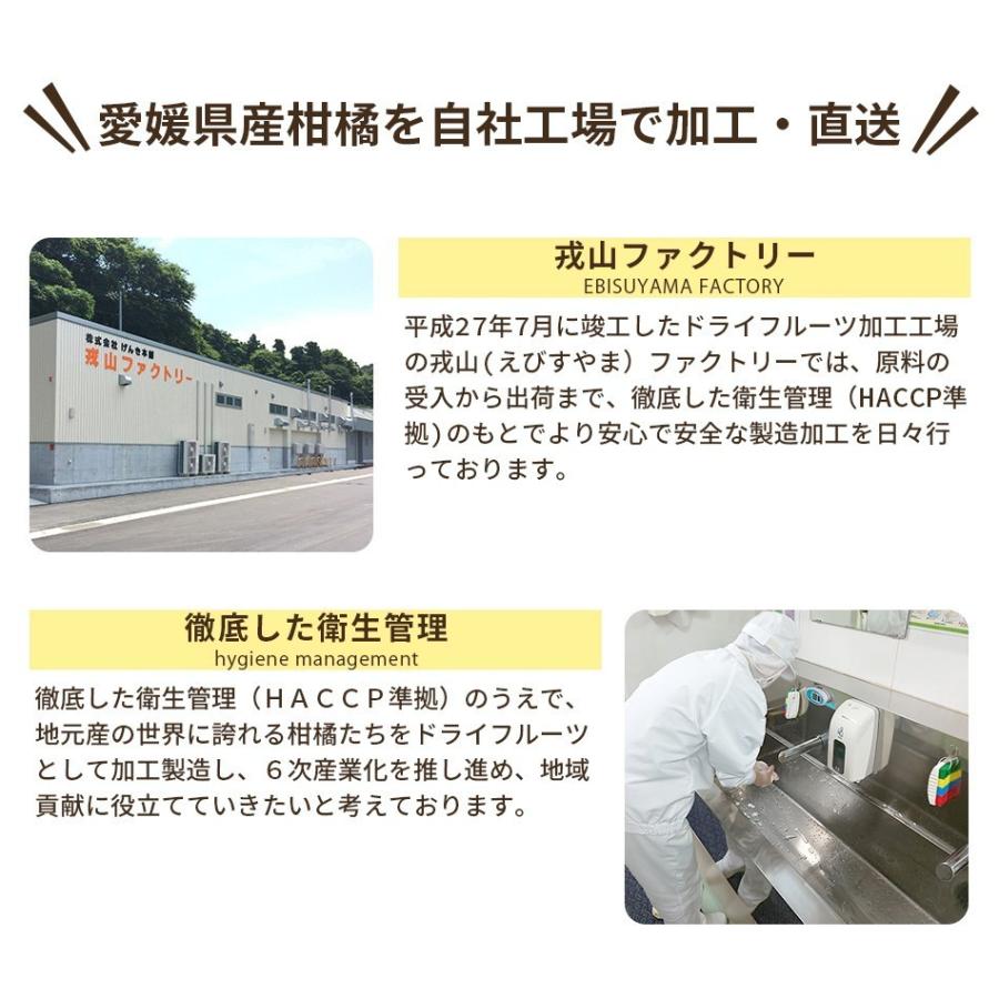 大容量 ドライフルーツ 500g 国産 河内晩柑 ピール 業務用 おやつ 美容 健康 送料無料 げんき本舗