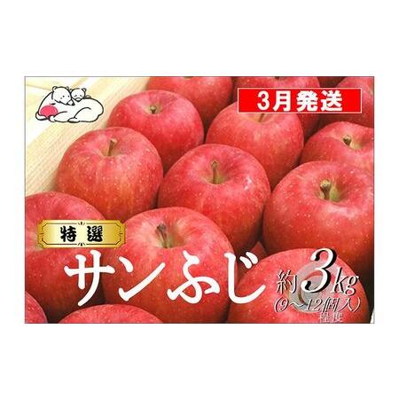 ふるさと納税 白熊 特選 サンふじ 絆 約3kg 糖度13度 青森県弘前市