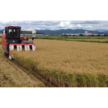 ふるさと納税 金賞受賞の農園がお届けするコシヒカリ10kg×2袋 静岡県袋井市