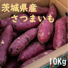 生さつまいも 紅はるか 10Kg