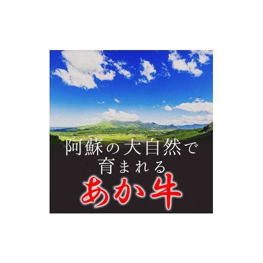 ふるさと納税 熊本県 玉名市 牛肉 あか牛 リブロースステーキ 約300g（150g×2枚）